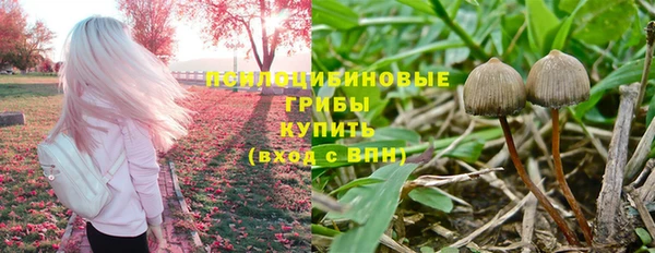 круглые Богородицк